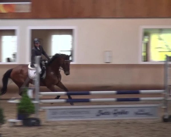 Reitturnier Schwendi 2016