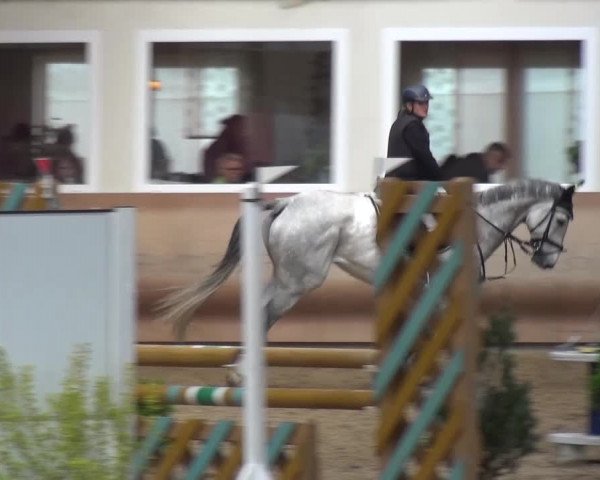 Reitturnier Schwendi 2016