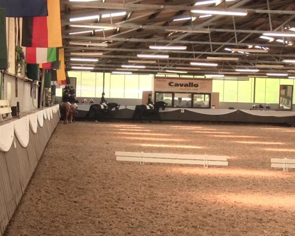 Reitturnier Bochum-Nord 2016