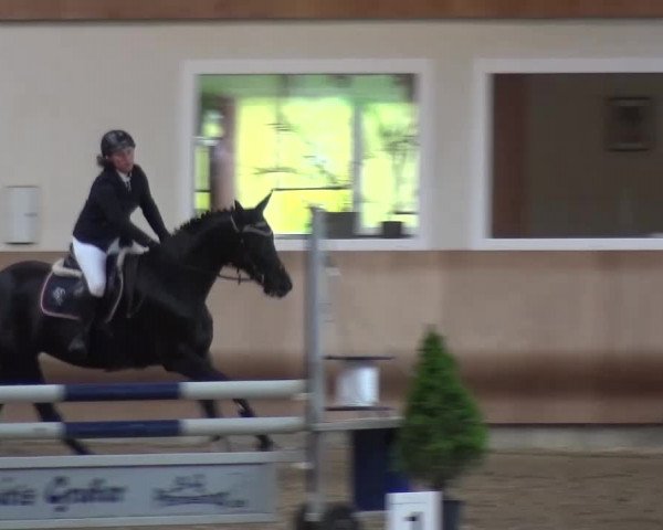 Reitturnier Schwendi 2016