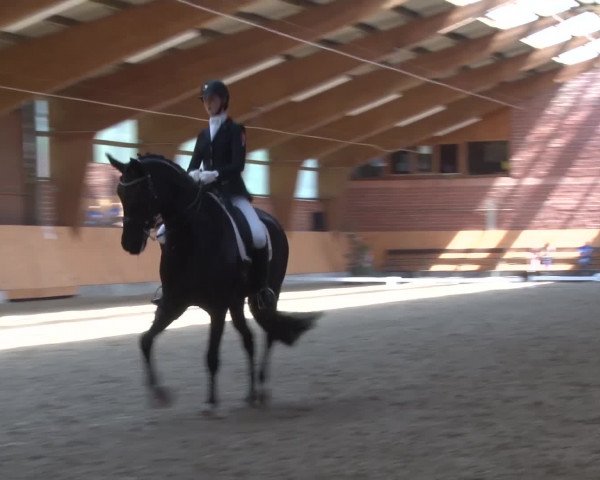3. Holtkämper Dressurtage 2016