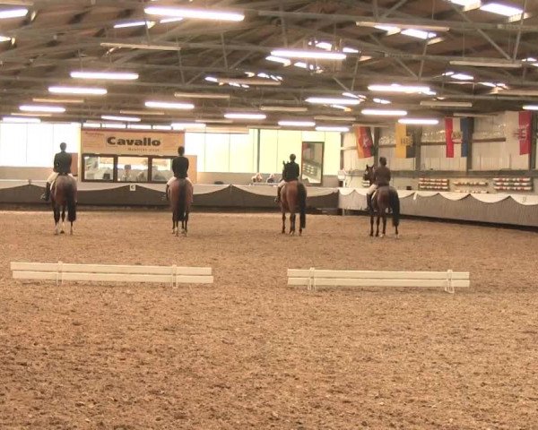 Reitturnier Bochum-Nord 2016