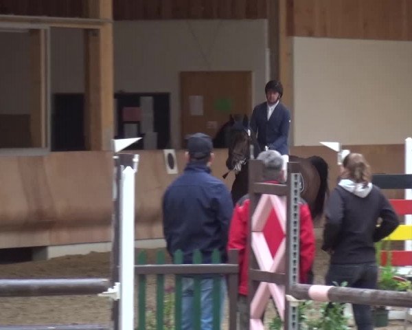 Reitturnier Schwendi 2016