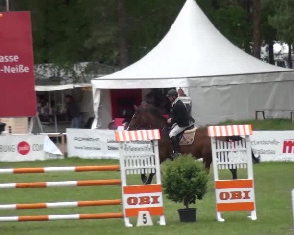 Reitturnier Cottbus-Sielow 2016