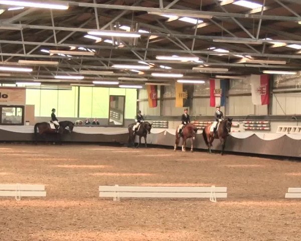 Reitturnier Bochum-Nord 2016