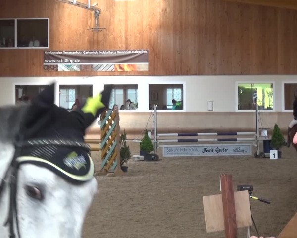 Reitturnier Schwendi 2016