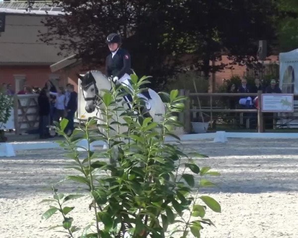 3. Holtkämper Dressurtage 2016