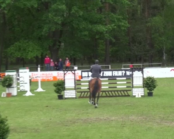 Reitturnier Cottbus-Sielow 2016