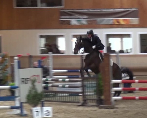 Reitturnier Schwendi 2016