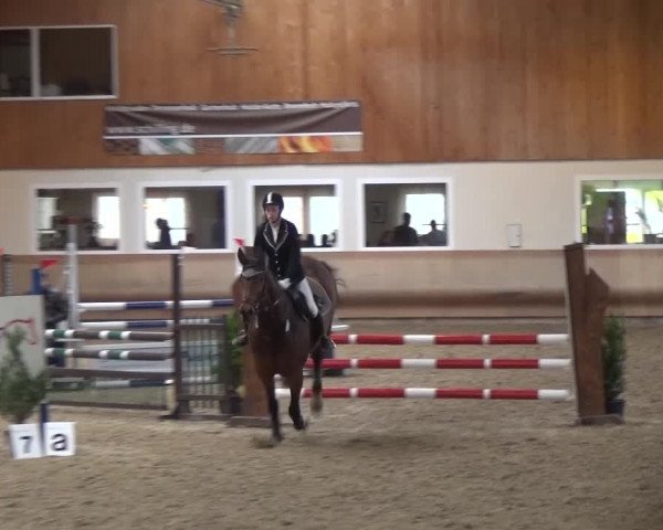 Reitturnier Schwendi 2016