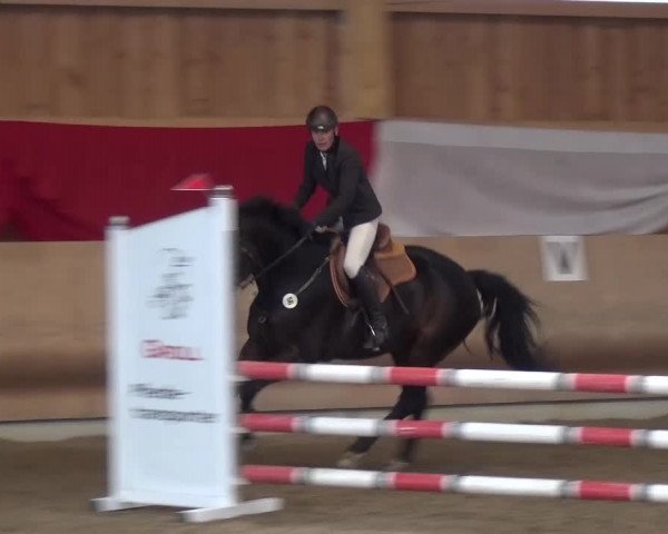 Reitturnier Schwendi 2016