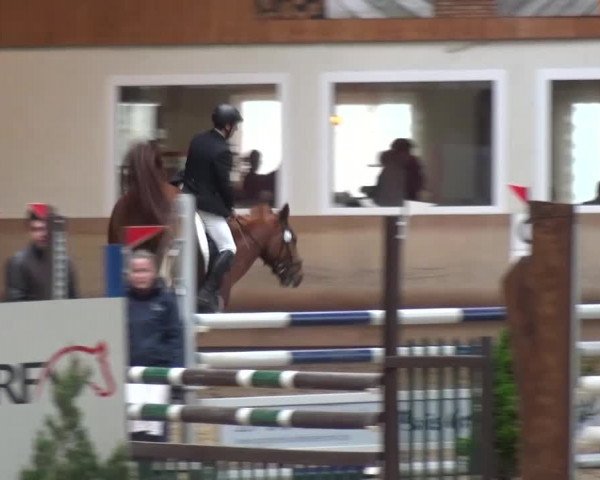 Reitturnier Schwendi 2016