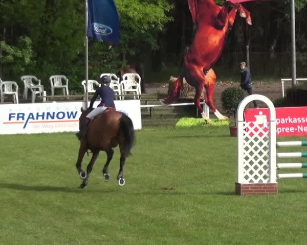 Reitturnier Cottbus-Sielow 2016