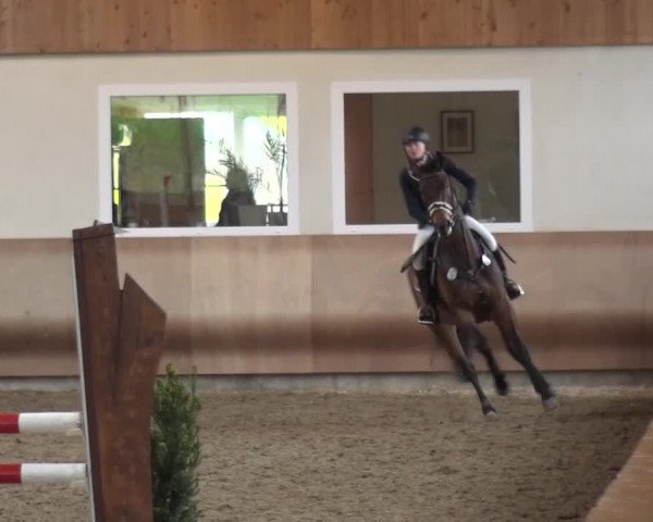 Reitturnier Schwendi 2016