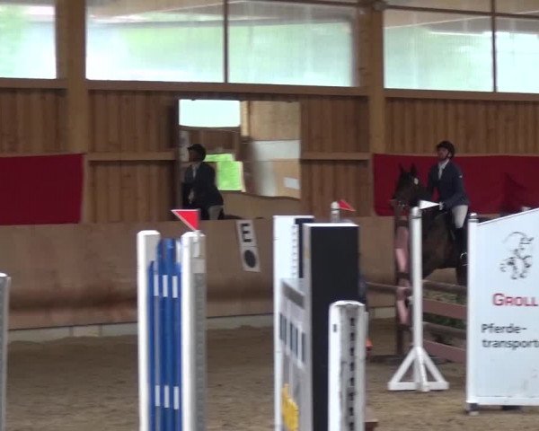 Reitturnier Schwendi 2016