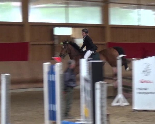 Reitturnier Schwendi 2016