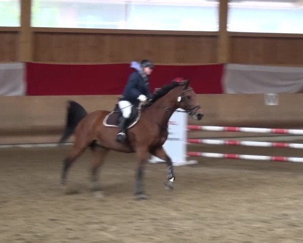 Reitturnier Schwendi 2016