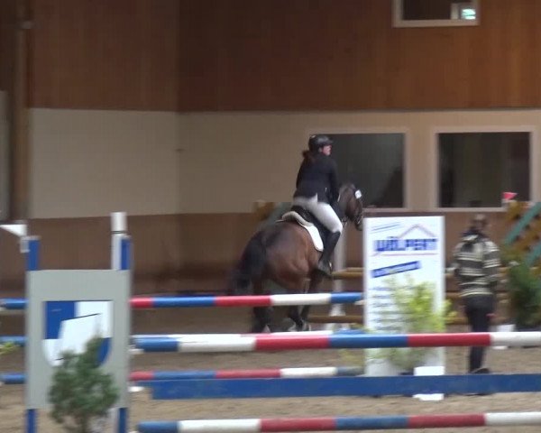 Reitturnier Schwendi 2016