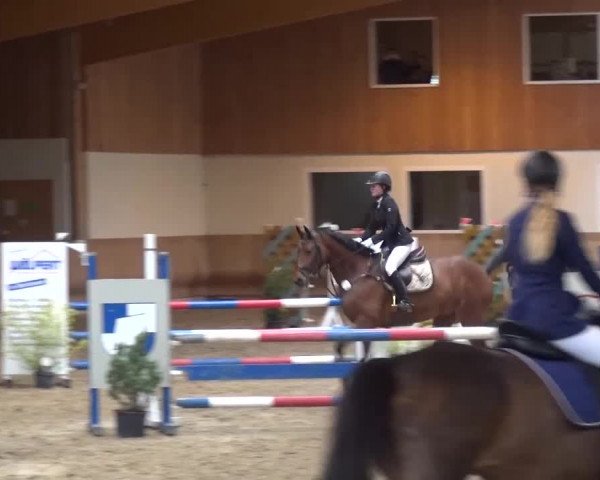 Reitturnier Schwendi 2016