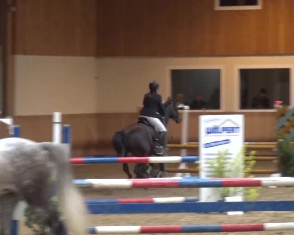 Reitturnier Schwendi 2016