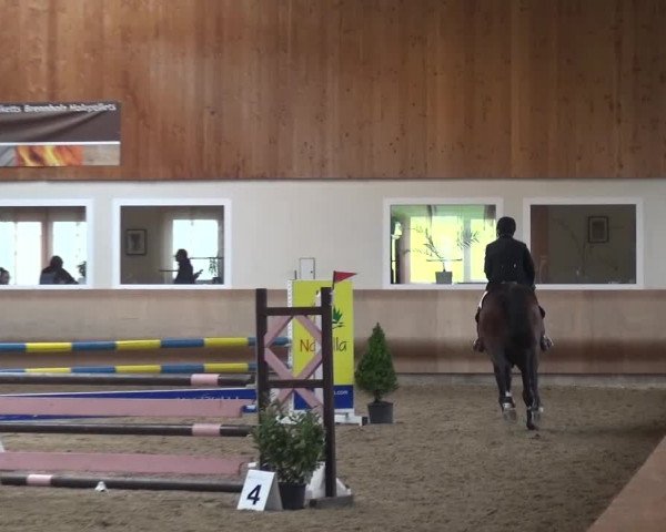 Reitturnier Schwendi 2016