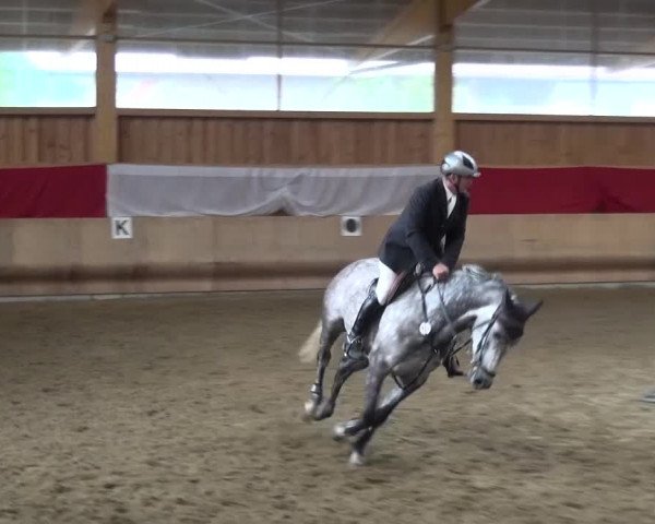 Reitturnier Schwendi 2016