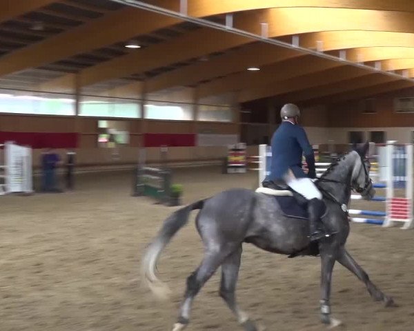Reitturnier Schwendi 2016