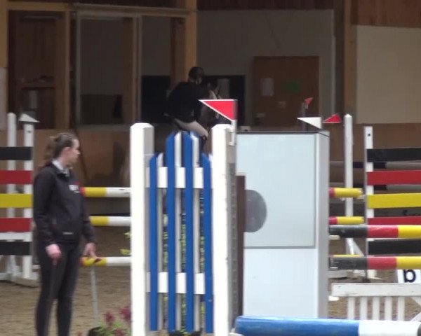 Reitturnier Schwendi 2016