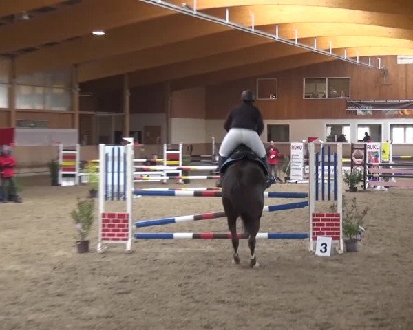 Reitturnier Schwendi 2016