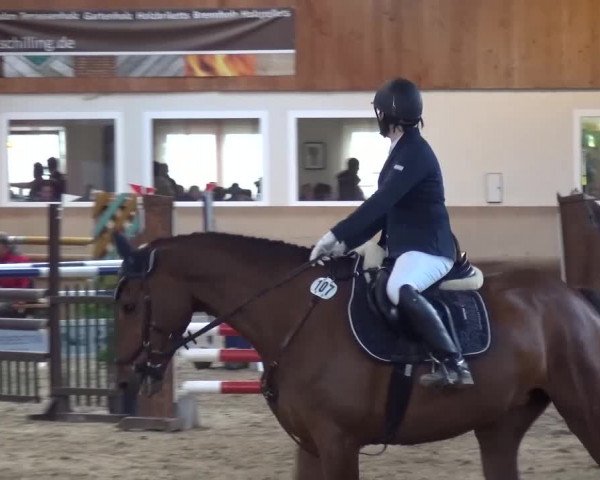 Reitturnier Schwendi 2016
