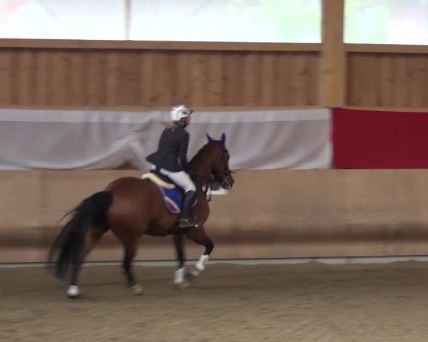 Reitturnier Schwendi 2016