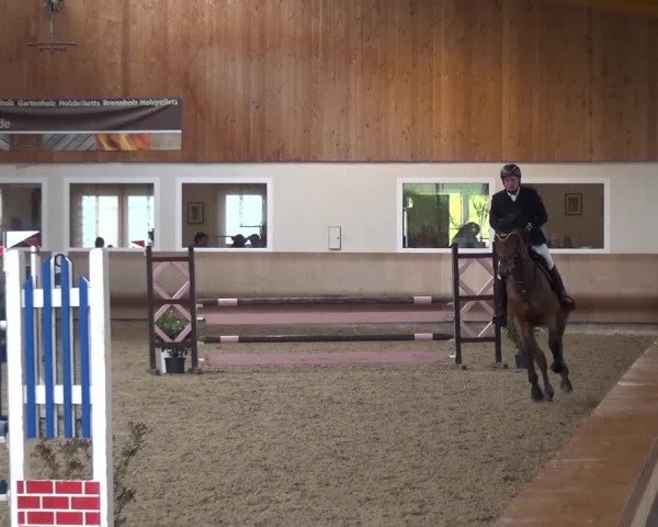 Reitturnier Schwendi 2016