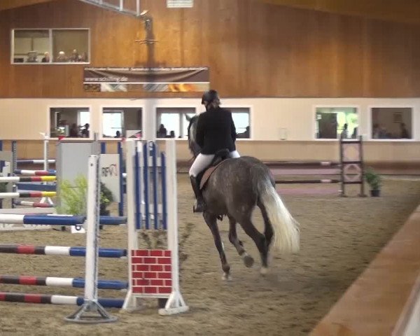 Reitturnier Schwendi 2016