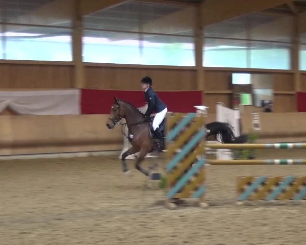 Reitturnier Schwendi 2016