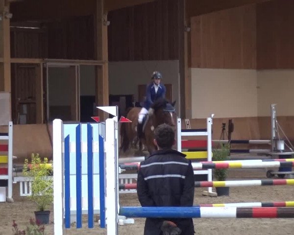 Reitturnier Schwendi 2016