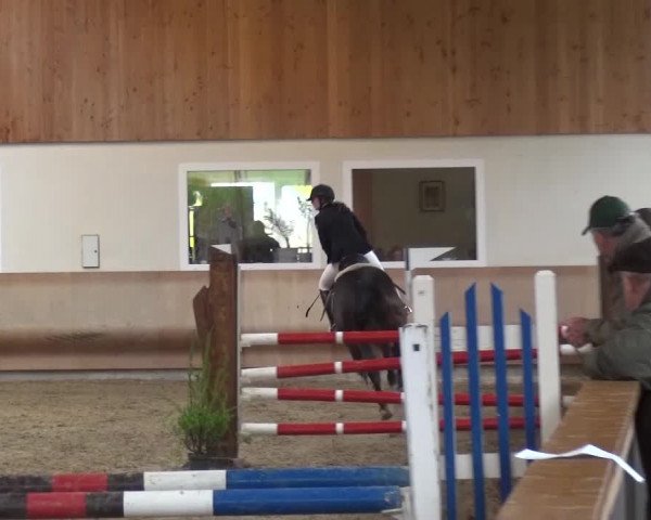 Reitturnier Schwendi 2016