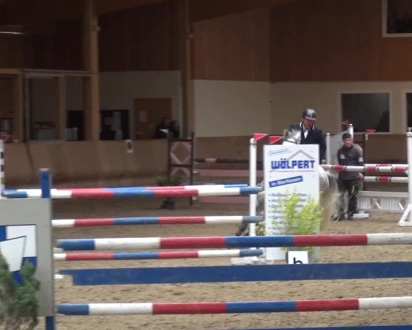 Reitturnier Schwendi 2016