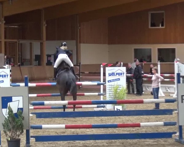 Reitturnier Schwendi 2016