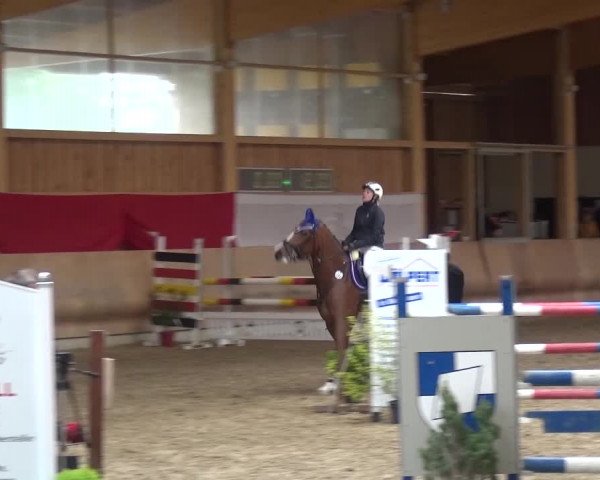 Reitturnier Schwendi 2016
