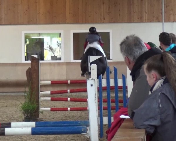 Reitturnier Schwendi 2016