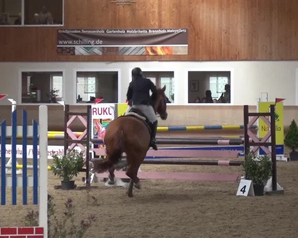Reitturnier Schwendi 2016