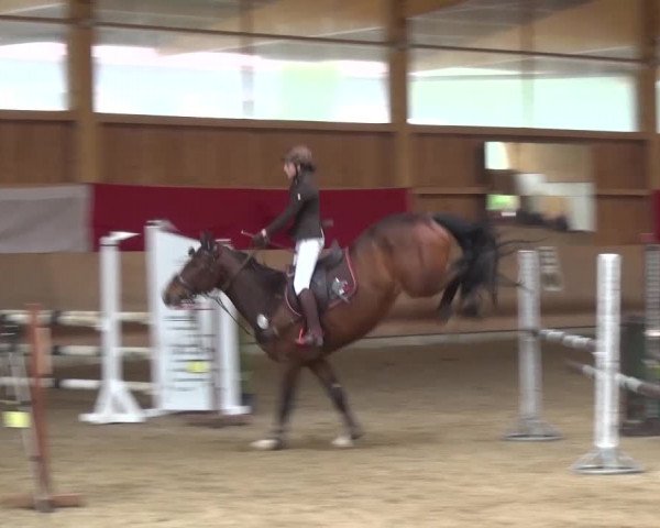 Reitturnier Schwendi 2016