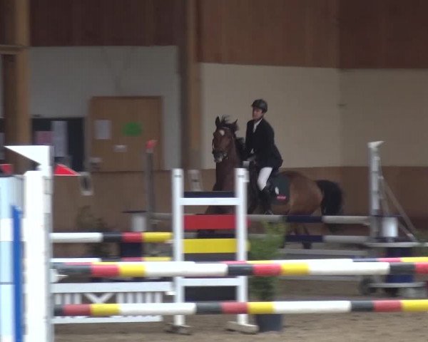Reitturnier Schwendi 2016