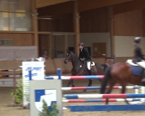 Reitturnier Schwendi 2016