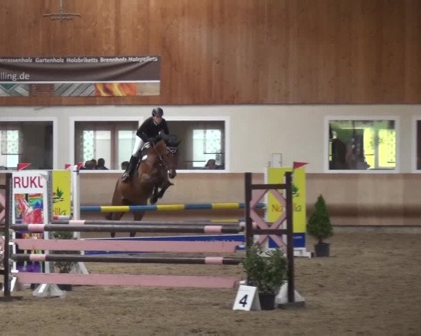 Reitturnier Schwendi 2016