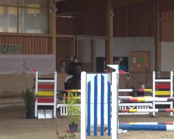Reitturnier Schwendi 2016