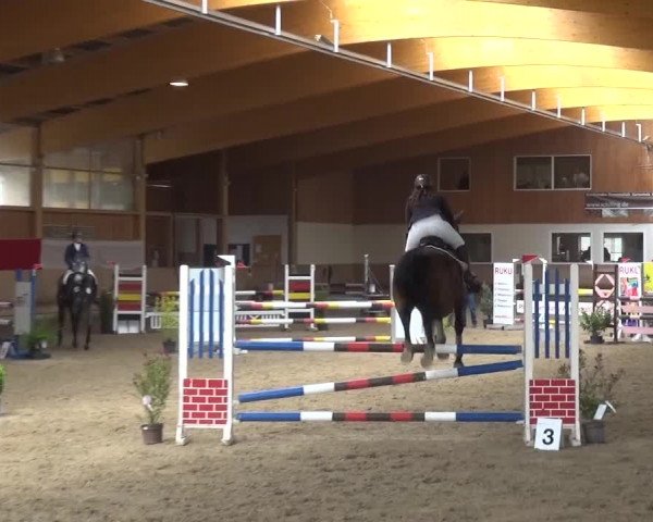 Reitturnier Schwendi 2016