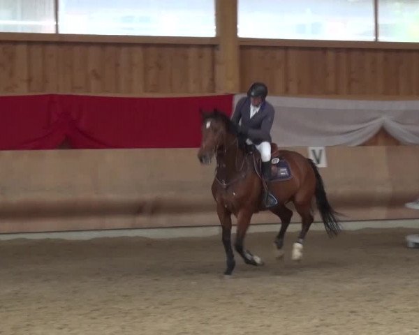Reitturnier Schwendi 2016