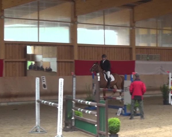 Reitturnier Schwendi 2016