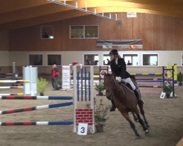 Reitturnier Schwendi 2016